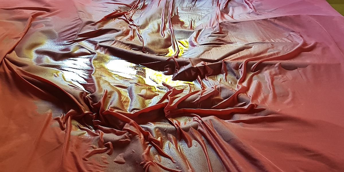 dehumidifier to dry carpet