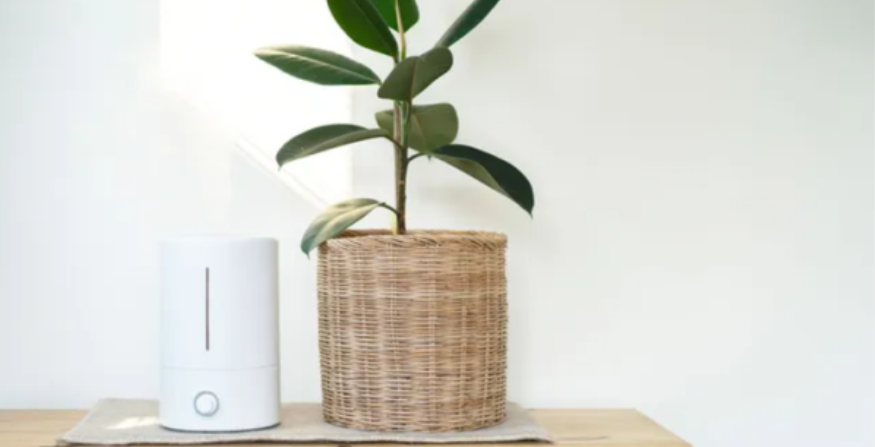 Best Air Purifier Filters