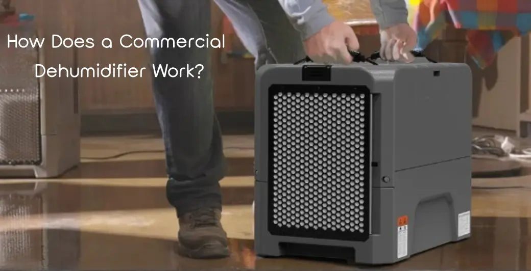 How Does a Commercial Dehumidifier Work