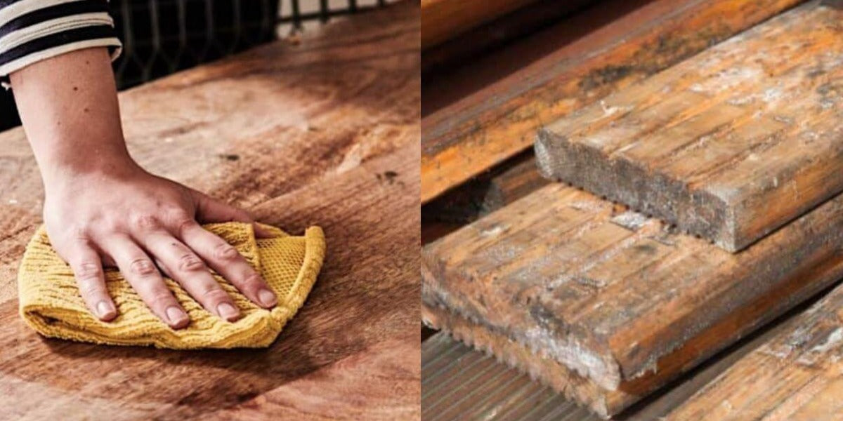 How To Treat Mould On Wood