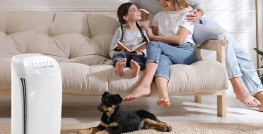 Air Purifiers With High CADR Ratings Vs Low CADR Ratings: Which is Better?