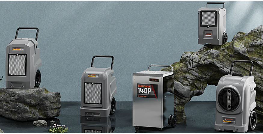 Basement Dehumidifier