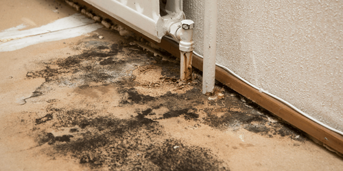 5 Signs Your Home Has a Humidity Problem and What to Do About It