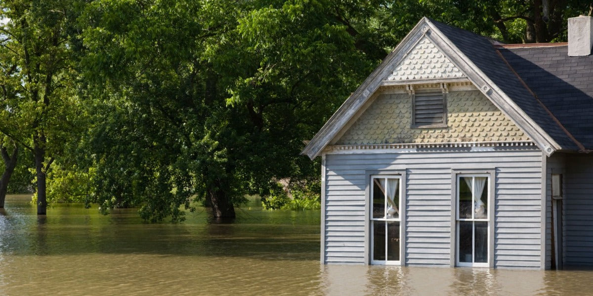 Dehumidifier for Water Damage