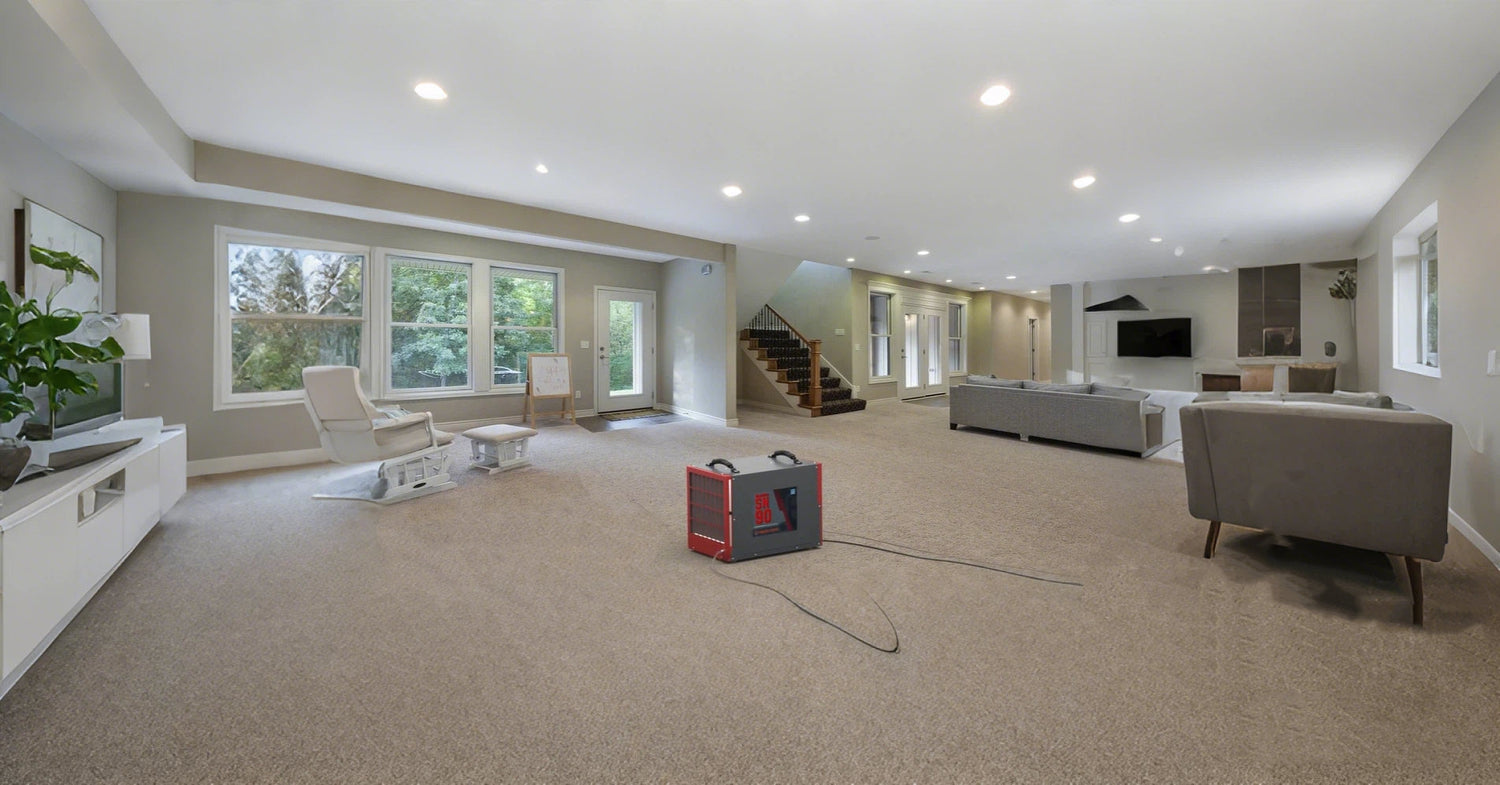 Do Dehumidifiers Really Improve Indoor Air Quality?