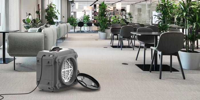 5 Allergy-Fighting Machines to Help You Live Your Best Life This Season