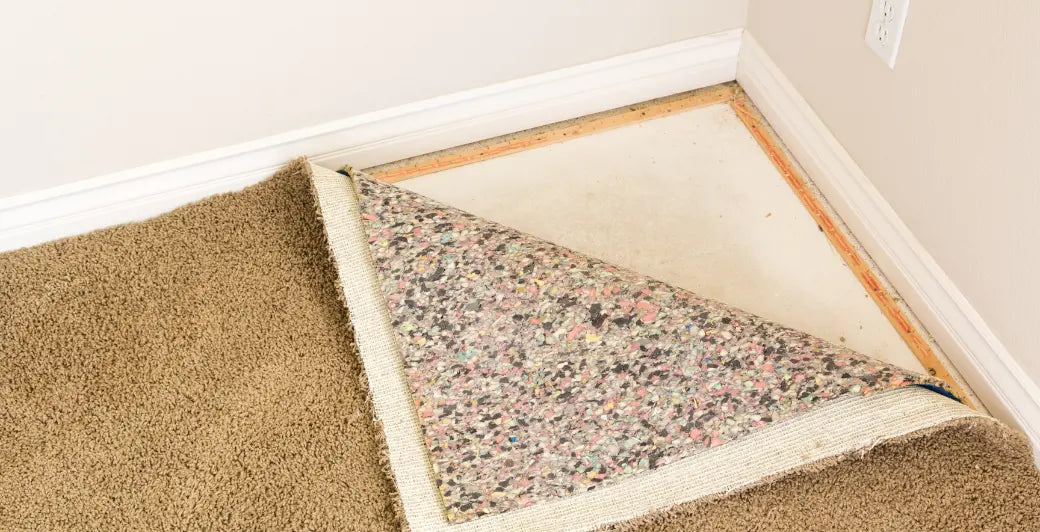 How Do You Clean Mold Out of Carpet for Good Indoor Air Quality
