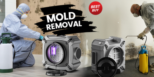 top tools used for mold detection - mold remediation... The 9 Best Tools for Mold Removal in 2024