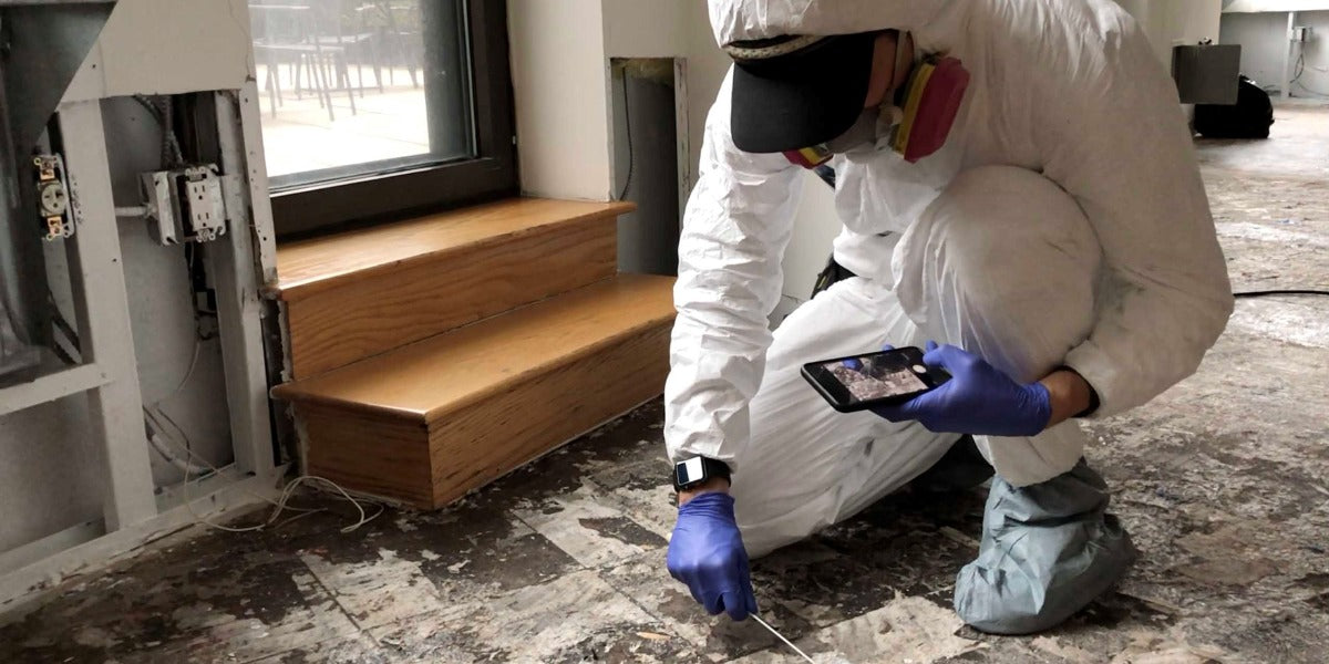 Mold under kitchen cabinets