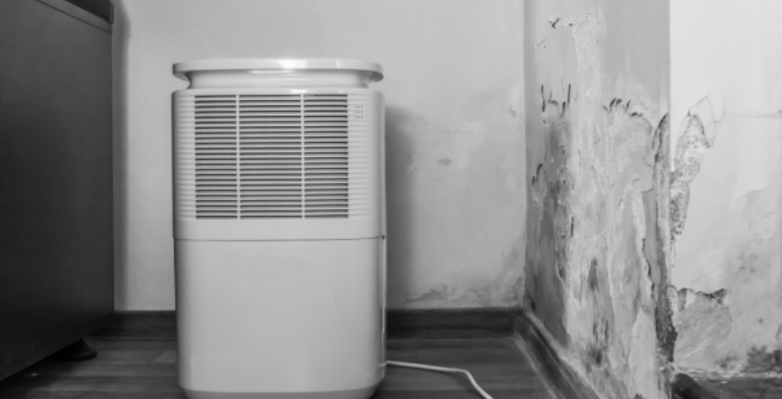 Abestorm Crawl Space Dehumidifier