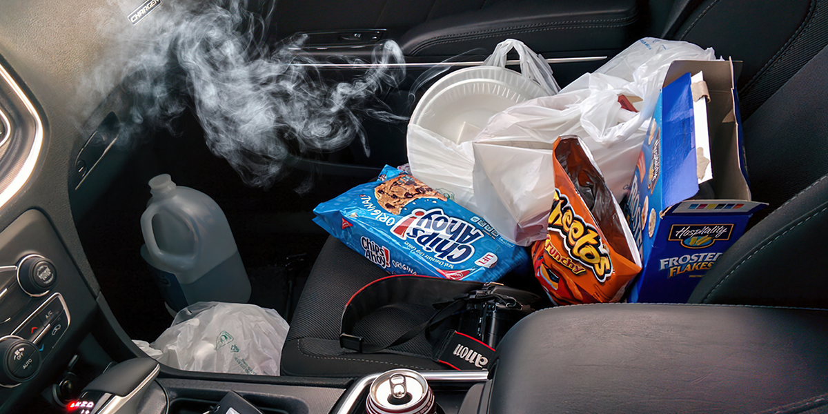 Can an Air Purifier Remove Odors from Your Car?
