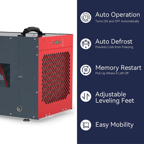 dehumidifier in crawl space