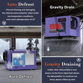 good dehumidifier for crawl space