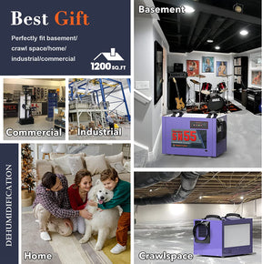 best dehumidifier for crawl space