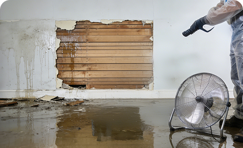 Water Damage Restoration & Structural Drying