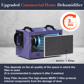 Abestorm 113 PPD Crawl Space Dehumidifier with Pump and Drain Hose(Purple) | Guardian SN55