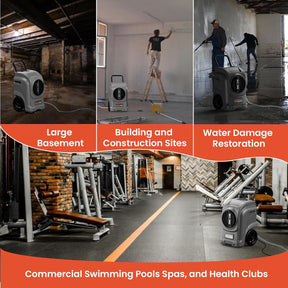 Large Basement dehumidifier